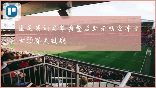 国足集训名单调整后新老结合冲击世预赛关键战