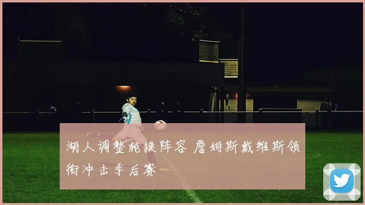 湖人调整轮换阵容 詹姆斯戴维斯领衔冲击季后赛